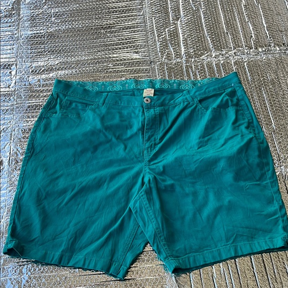 Pants - Gafete glory Teal Casual Shorts